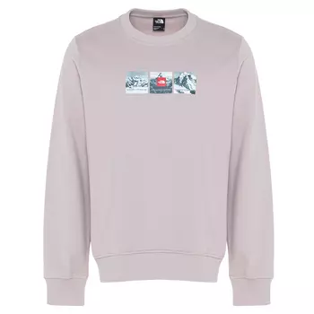 Мужской свитшот Expedition System Crew Moonstone Grey