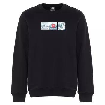 Мужской свитшот Expedition System Crew TNF Black