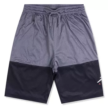 Jumpman Air Graphic Mesh Shorts