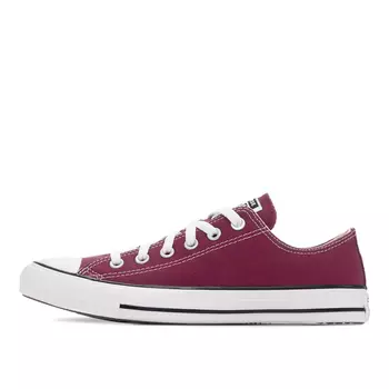 Кеды Chuck Taylor All Star Seasonal