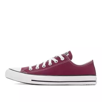 Кеды Chuck Taylor All Star Seasonal