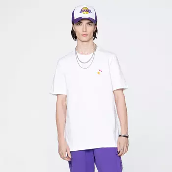 Мужская футболка adidas Lil Stripe SB