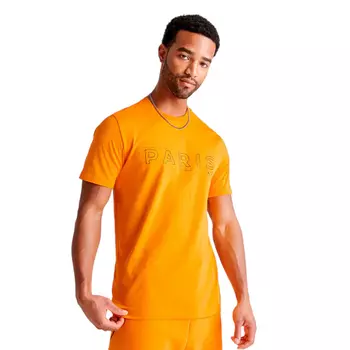 Мужская футболка Jordan Paris Saint-Germain T-Shirt