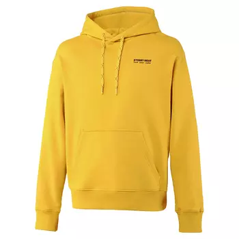 Мужская худи Basic Hoodie