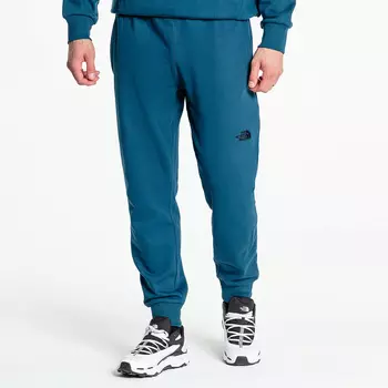 Мужские брюки Never Stop Exploring Pant