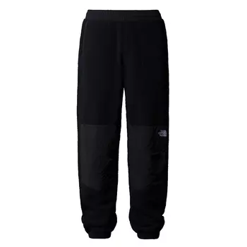 Мужские брюки Retro Denali Pant