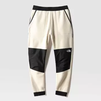 Мужские брюки The North Face Denali Pant