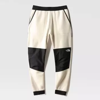 Мужские брюки The North Face Denali Pant