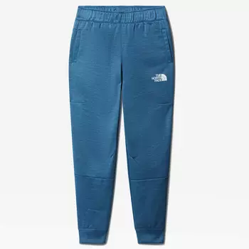 Мужские брюки The North Face Fleece Pant