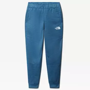 Мужские брюки The North Face Fleece Pant