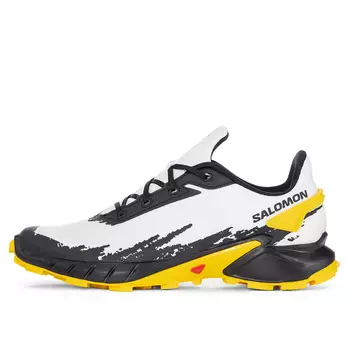 Мужские кроссовки Salomon