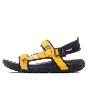 Мужские сандалии Explore Camp Sandal