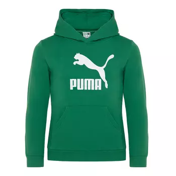 Подростковая худи Classics Logo Hoodie