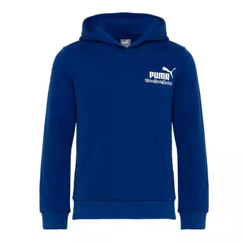 Подростковая худи Essentials+ Mid 90s Hoodie