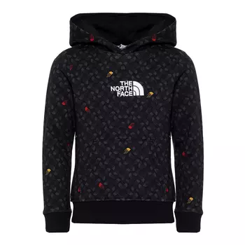 Подростковая худи The North Face Drew Peak