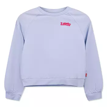 Пуловер Спортивный Lvg Benchwarmer Crew Swtshirt