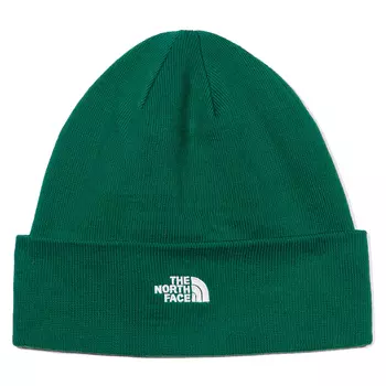 Шапка NORM BEANIE EVERGREEN