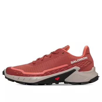 Женские кроссовки Salomon Alphacross 5