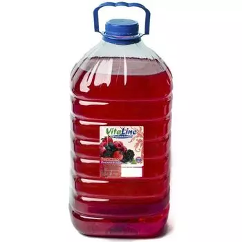 Гель-мыло ПЭТ бутыль с ручкой Лесные ягоды Рrofessional 5л