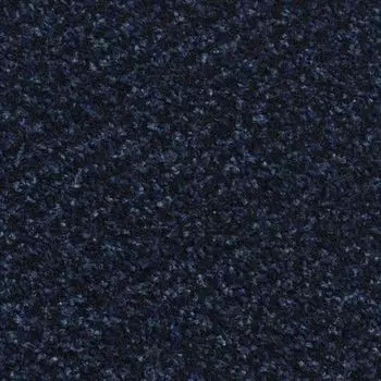 Грязезащитное покрытие Alba PC 30 2,0м