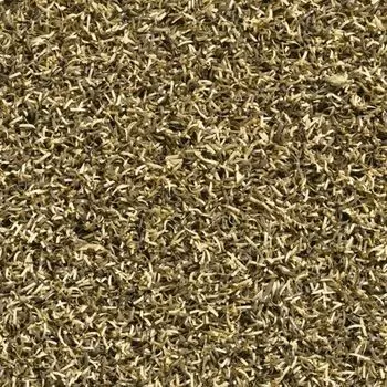 Грязезащитное покрытие Traffic GP 60 2,0м