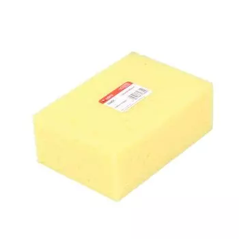 Губка гидра Corte