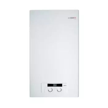 Котел настенный газовый Protherm Рысь НК 11