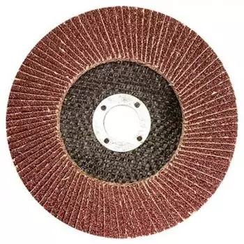 Круг Лепестковый Торцевой 150х22 Р80