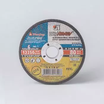 Круг шлифовальный, 125×6×22 мм