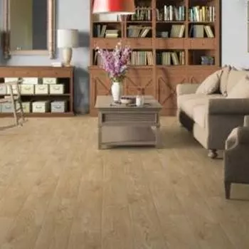 Линолеум Tarkett бытовой Energy Paster 2 4 м