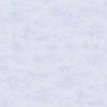 Обои виниловые на флизелиновой основе Erismann City 2905-6