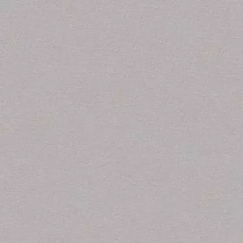 Обои виниловые на флизелиновой основе горячего тиснения 10,05х1,06м арт 60095-09