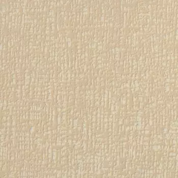 Обои виниловые на флизелиновой основе Элизиум Интонация Е51402