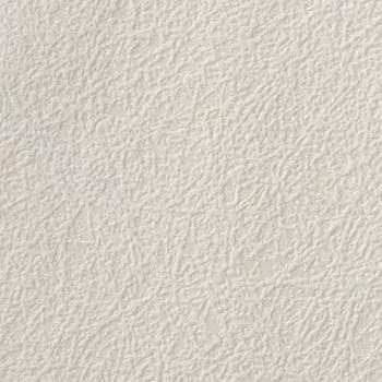 Обои виниловые на флизелиновой основе Элизиум Интонация Е57825