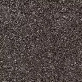 Покрытие ковровое AW Aura 44, 5 м, 100 % SDN