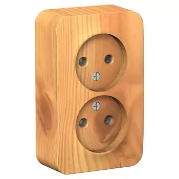 Розетка Schneider Blanca 2-местная накладная без заземления ясень