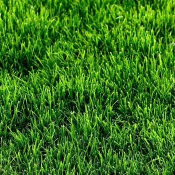 Трава искусственная High Grass 35 2м