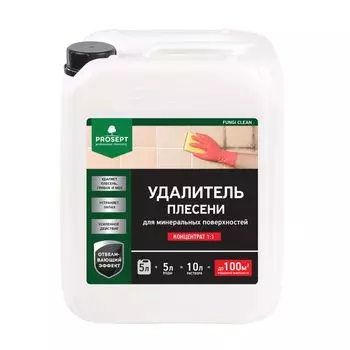 Удалитель плесени Prosept Fungi clean Концентрат 1:1, 5л