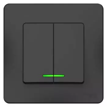 Выключатель 2-кл. антрацит 10А 250В с подсветкой SchE BLNVS010516 Blanca