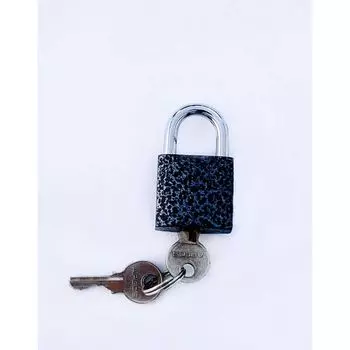 Замок навесной Apecs PD-01-25