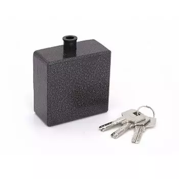 Замок навесной Palladium 605S