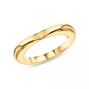 Серебряное кольцо