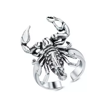 Серебряное кольцо