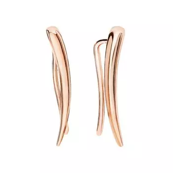 Серебряные серьги