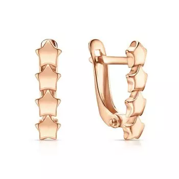 Серебряные серьги