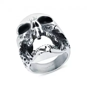 Стальное кольцо