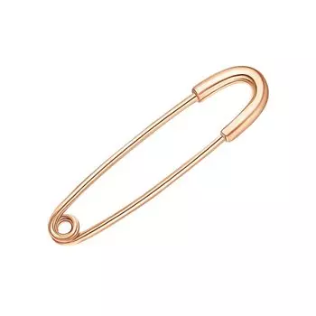 Золотая брошь