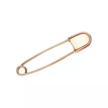 Золотая брошь