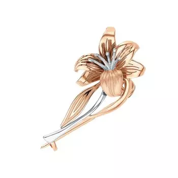 Золотая брошь