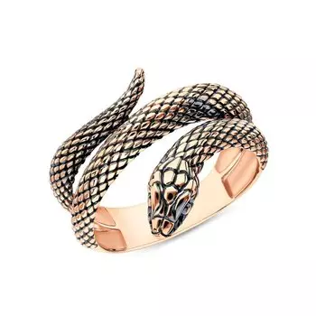 Золотое кольцо